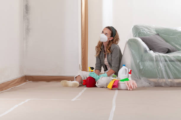 Reliable Black Mold Remediation contractor in Thurmont, MD by 24 Hour Mold Removal